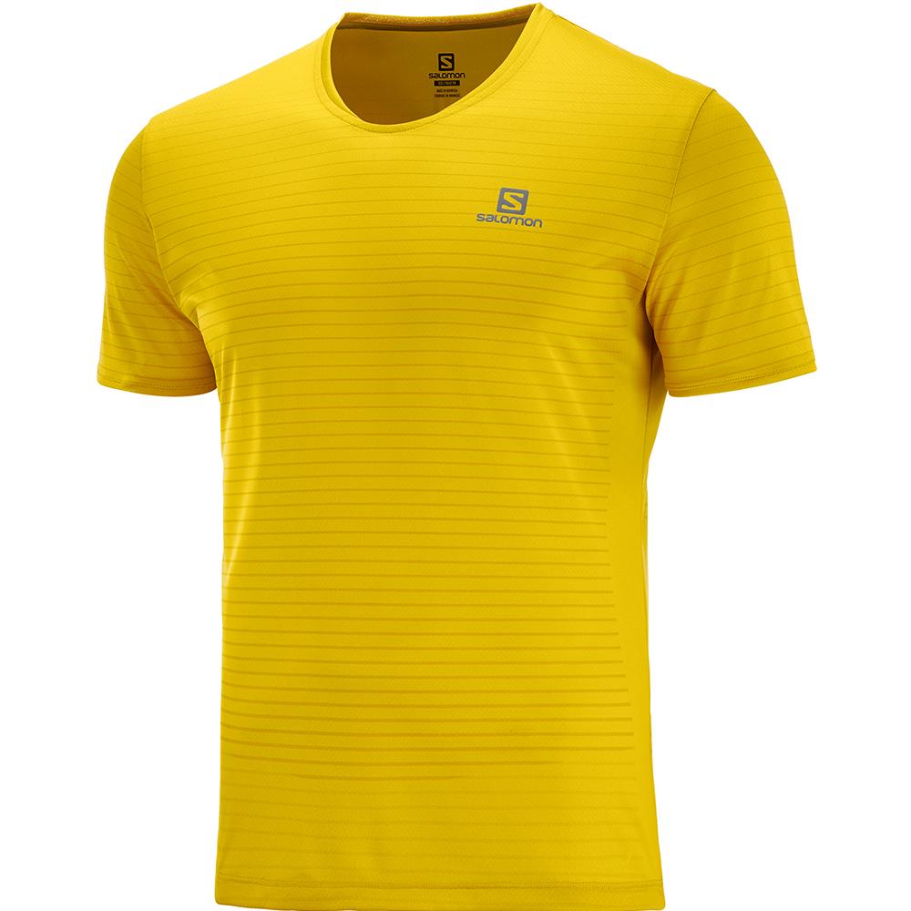 Camisetas Salomon Hombre Amarillo - Salomon Argentina SENSE M,376025-RZY